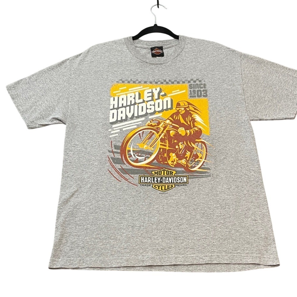 Harley-Davidson Double Sided Graphic T-Shirt Men's XL Gray Yellow‎ Red USA y2k